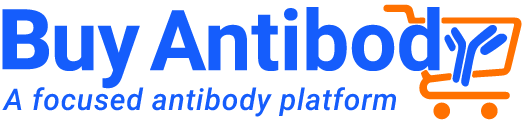 Buy Antibody